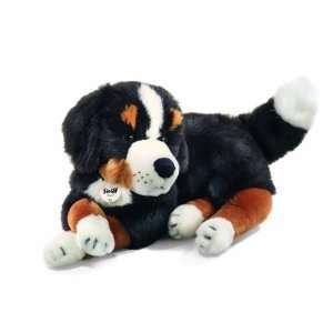 Sigi Bernese mountain dog lying Toys & Games