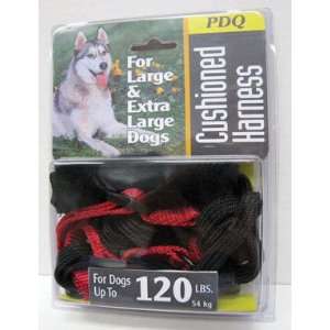  2 each Pdq Dog Harness (29193)