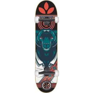   Complete Skateboard   7.75 Panther w/Thunders