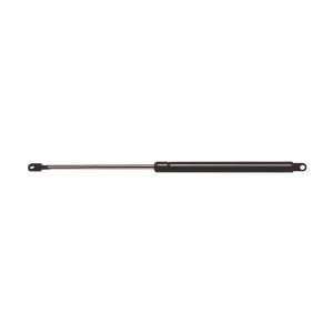  StrongArm 4637 BMW 3 Series Hood Lift Support 1992 98 