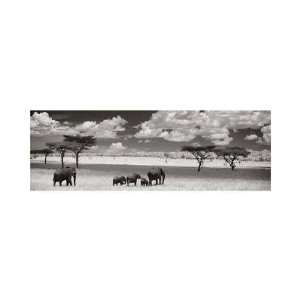  The Elephant Family by Andy Biggs. Size 15.97 inches width 