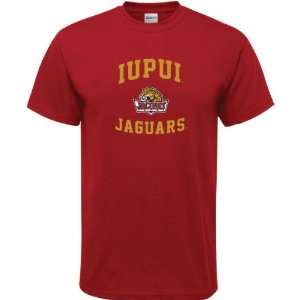  IUPUI Jaguars Cardinal Aptitude T Shirt