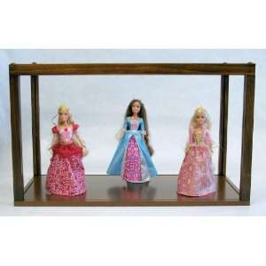   Clear Display Case for Dolls Art Trains Cars Awards