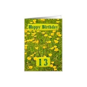    Wildflower meadow card for a 13 year old Card Toys & Games