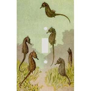  Seahorses Decorative Switchplate Cover