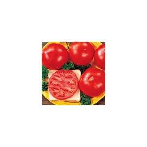  Tomato Celebrity Hybrid Seeds Patio, Lawn & Garden