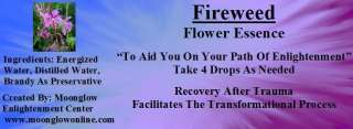   these flower essences are creates at the moonglow enlightenment center