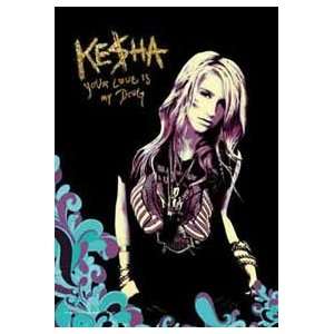  Ke$ha Your Love Is My Drug 30in x 40in Textile Poster 