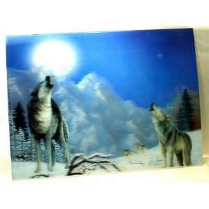  3D Lenticular Stereoscopic Print Paint Picture Arctic 