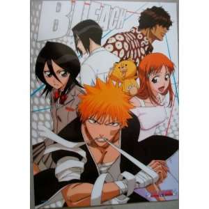   Bleach Ichigo & Friends Glossy Laminated Poster #4426 