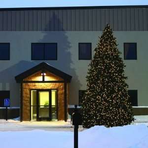  34 Foot, C7 LED Commercial Christmas Tree, Grand Teton 