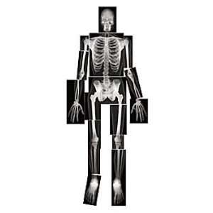 True to Life Human X Rays  Industrial & Scientific