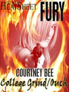   Fairy Tail by Courtney Bee, Phaze  NOOK Book (eBook)
