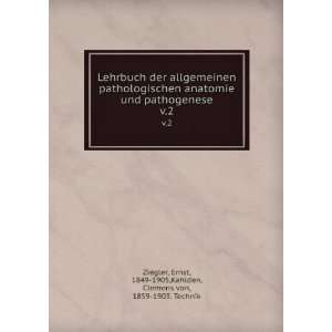   , 1849 1905,Kahlden, Clemens von, 1859 1903. Technik Ziegler Books