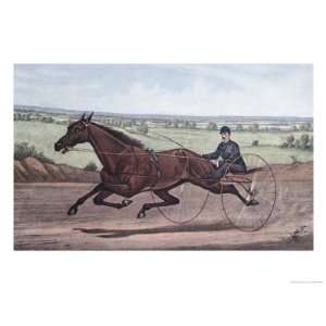  Queen of the Turf Maud S., Driven by W.W. Bair Giclee 