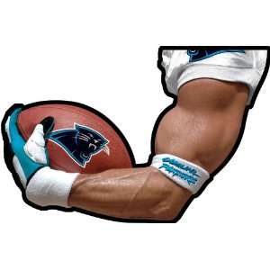  Carolina Panthers ARMagnet Left Arm (Drivers Side) NEW 3 
