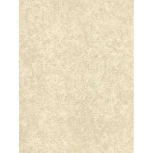  Wallpaper Brewster Palazzo II P9614