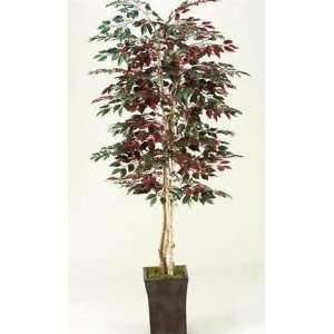  7 Foot Red Ficus Tree in Square Metal Planter Everything 