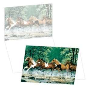 ECOeverywhere Spring Creek Run Boxed Card Set, 12 Cards and Envelopes 