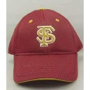  Florida State Seminoles Youth Elite One Fit Hat Sports 