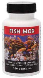 Fish Mox Amoxicillin Antibiotic 250mg 100 Capsules  