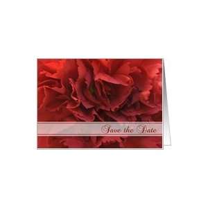  Wedding Save the Date Announcement Red Floral Card Health 