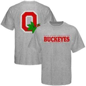  by Nike Ohio State Buckeyes Ash Established T shirt