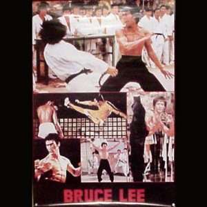 Bruce Lee The Ultimate Champion Poster (15inch x 20inch)