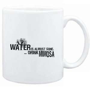  Mug White  Water is almost gone  drink Mimosa  Drinks 