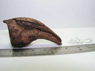 Tyrannosaurus rex Hand Claw Replica CKPR24  