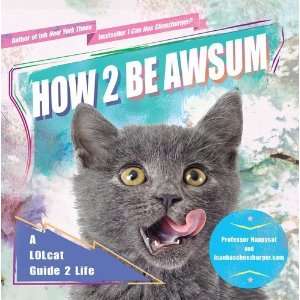  How 2 Be Awsum A LOLcat Guide 2 Life [Paperback 