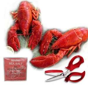 Lobsters, Scissors and Salt  Grocery & Gourmet Food