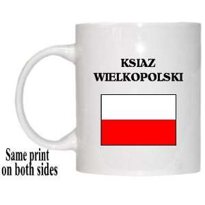  Poland   KSIAZ WIELKOPOLSKI Mug 