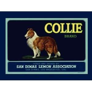  Crate Label with a Collie DOG SAN Dimas Lemon LOS Angeles 