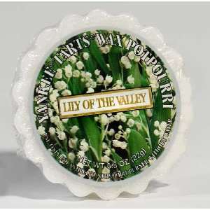  Lily of the Valley   Box of 24 Wax Potpourri Tarts
