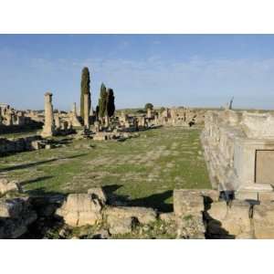 Agora, Cyrene, UNESCO World Heritage Site, Libya, North Africa, Africa 
