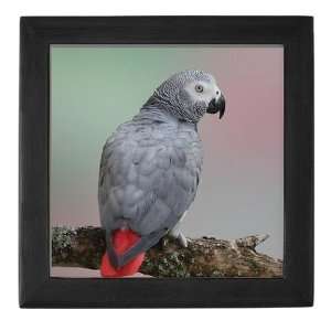  African Grey Parrot Pets Keepsake Box by  Baby