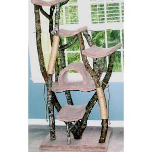 Home Sweet Dome 5 Level Rustic Cat Tree  Color ROSE  Leg Covering 