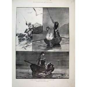   Sea Fishing Off Brittany Coast Conger Mullet Print