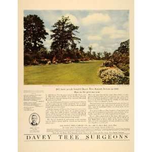 1931 Ad Davey Tree Expert Land Services Penn Schoells   Original Print 