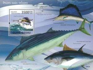 Guinea Bissau 2009 Stamp, Fish, Marine Life S/S  