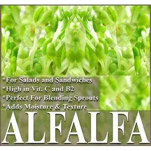  2,000 ORGANIC ALFALFA seeds SPROUTING   SPROUTS VITAMIN C 