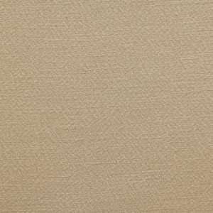  Desiree   Champagne Indoor Multipurpose Fabric Arts 