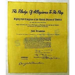   Allegiance 1954 Historical Document (Channel Craft HDPA) Toys & Games