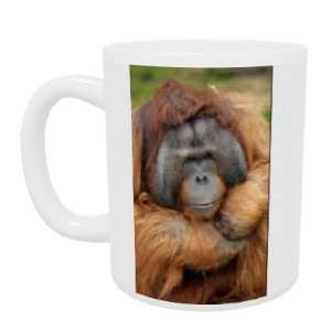  Benjamin the Orangutan at Dudley Zoo. 2003.   Mug 