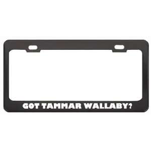  Got Tammar Wallaby? Animals Pets Black Metal License Plate 