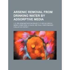  Arsenic removal from drinking water by adsorptive media U 