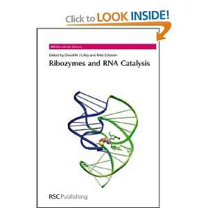   Rna Catalysis David M. J. (EDT)/ Eckstein, Fritz (EDT) Lilley Books