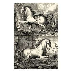  Galloping Horses I Premium Giclee Poster Print, 12x16 