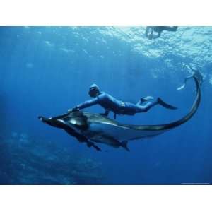  Diver Swims with Giant Manta Ray, Mexico Photographic 